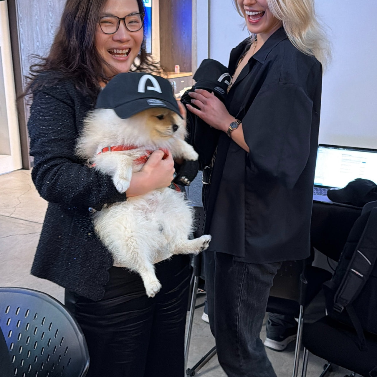 Arc Dog, a pomeranian in an Arc cap, held by a laughing team member in the Arc office